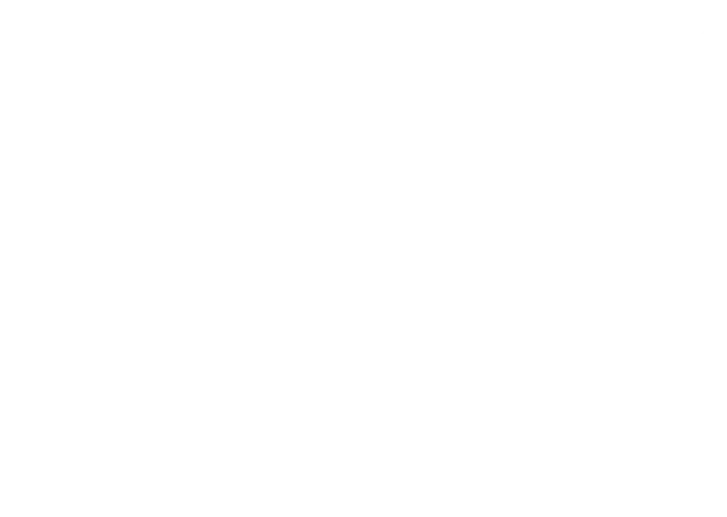 Wan Financial Logo-White