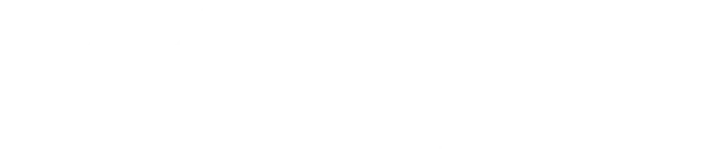 Wan Wealth Management Logo White